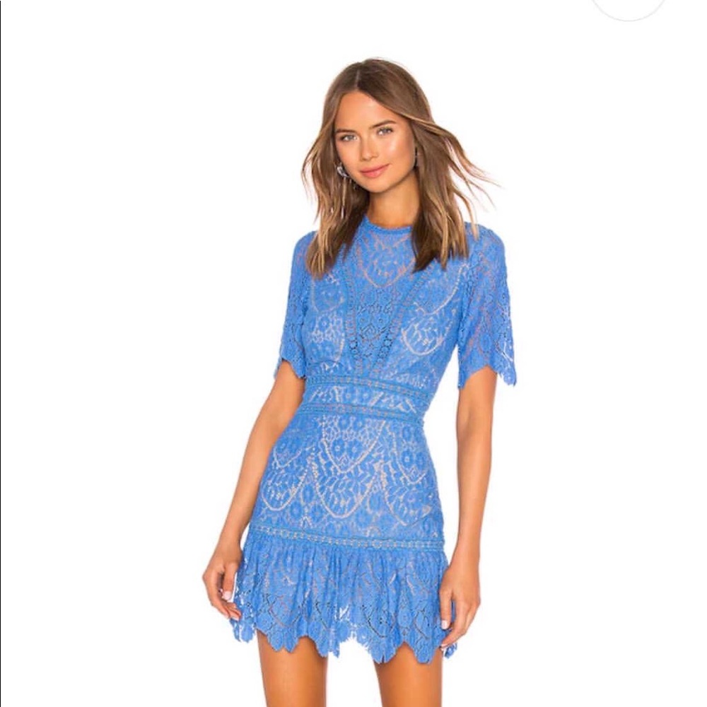 Saylor lace open back dress
